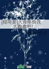 [综英美]大哥你放我去跑毒吧！