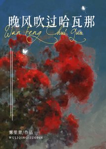 《晚风吹过哈瓦那》
