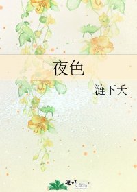 《夜色》