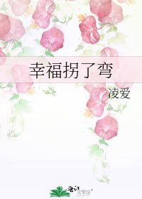 《幸福拐了弯》