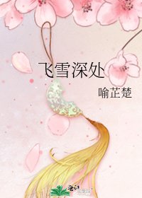 《飞雪深处》