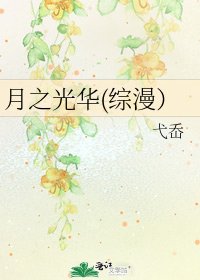 《月之光华(综漫)》