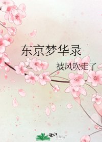 《东京梦华录》