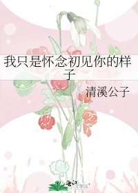 《我只是怀念初见你的样子》
