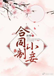 《合同制小妾》