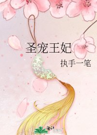 《圣宠王妃》