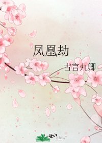 《凤凰劫》