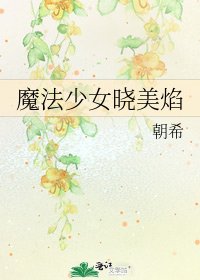 《魔法少女晓美焰》
