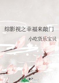 《综影视之幸福来敲门》