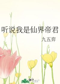 《被仙界帝君强行宠》