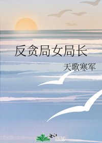 《反贪局女局长》