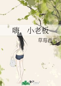 《嗨,小老板》