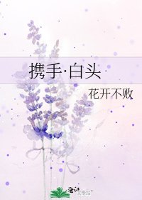 携手·白头