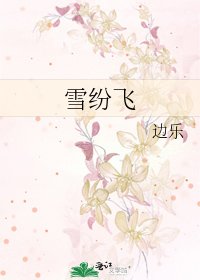 《雪纷飞》