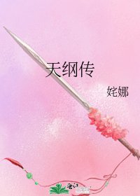 《天纲传》