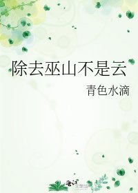 《除去巫山不是云》