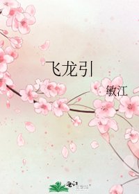 《飞龙引》