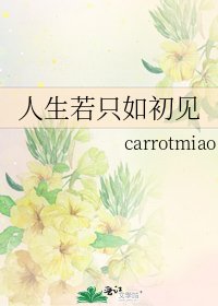 《人生若只如初见》