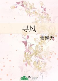 《寻风》