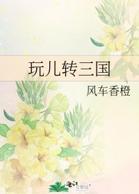 玩儿转三国