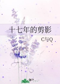 十七年的剪影