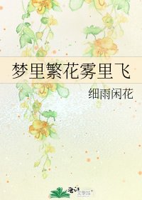 《梦里繁花雾里飞》