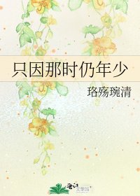 只因那时仍年少