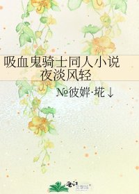 吸血鬼骑士同人 夜淡风轻