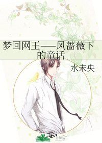 《梦回网王——风蔷薇下的童话》