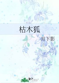 《枯木狐》