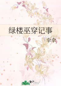 《绿楼巫穿记事》
