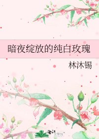 《暗夜绽放的纯白玫瑰》