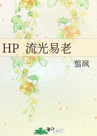 《HP 流光易老》