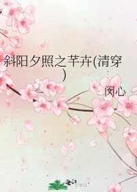 《斜阳夕照之芊卉(清穿)》