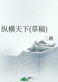 《纵横天下(草稿)》