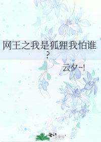 《网王之我是狐狸我怕谁?》