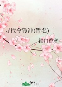 《寻找令狐冲(暂名)》