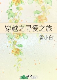 《穿越之寻爱之旅》