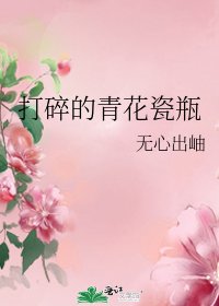 《打碎的青花瓷瓶》
