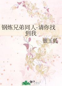 《钢炼兄弟同人-请你找到我》