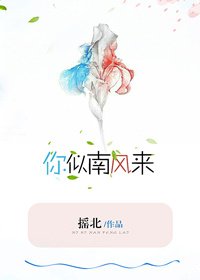 《你似南风来》