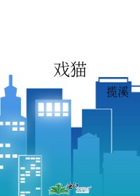 《戏猫》
