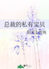 《总裁的私有宝贝》