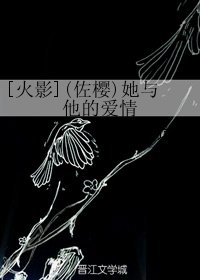 《(BG/火影同人)(佐樱)她与他的爱情》