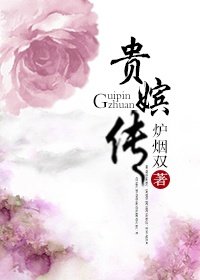 《贵嫔传》