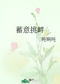 《蓄意挑衅》