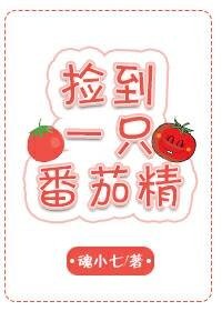 《捡到一只番茄精》