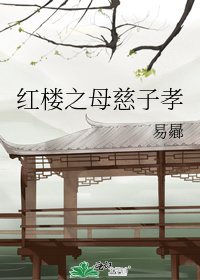 《红楼之母慈子孝》