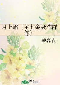《月上霜(主七金聂沈群像)》