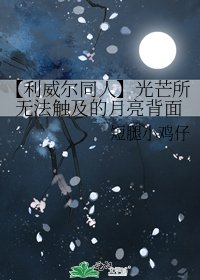 《【利威尔同人】光芒所无法触及的月亮背面》